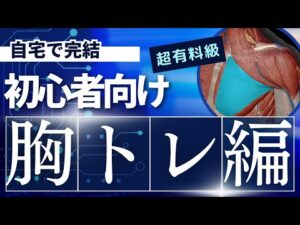 【宅トレ】バストアップトレーニング