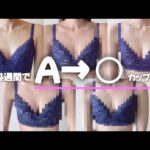【Week3,4】4週間で確実にサイズアップするための育乳｜ プロテイン｜補正下着｜巻き肩、猫背、反り腰改善｜#バストアップ #ボディメイク #ストレッチ #胸トレ