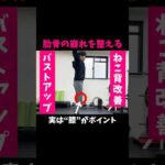 【ねこ背・バストアップ】ストレッチで改善！ #shorts