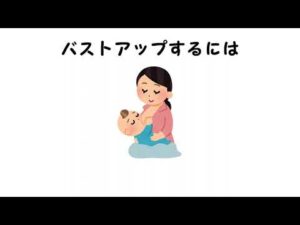 バストアップに関する雑学