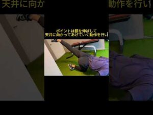 【たった2種目】誰でもお尻とバストアップできるオウチでカンタントレーニング！ #筋トレ #ダイエット #ストレッチ