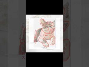 バストアップ版おさわりMAP！毎日の習慣でごきげんバストに。#美容 #猫好きさんと繋がりたい #バストアップ #自分磨き