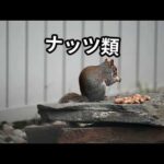 バストアップに効果的な食べ物5選