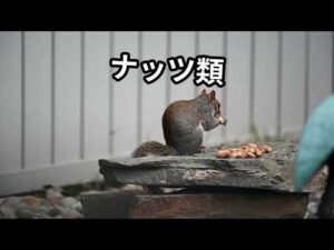 バストアップに効果的な食べ物5選