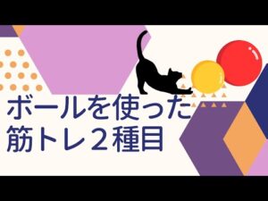 ストレッチボールを使ってできる、簡単筋トレを２種目ご紹介！
