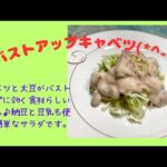 バストアップキャベツ？　マクロビオティックの理論に基づいたヴィーガン料理を作っています。