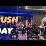 【筋肥大確定】胸・三頭・肩トレーニング