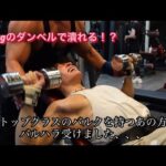 【胸トレ】最強のバルクを持つあの方からバルハラ受けて筋肉痛が交通事故だった日