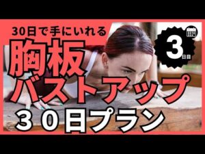 【胸板バスト】30日で理想の胸板・バストアップを狙いにいく(20秒8セット)　１ヶ月で激変！ちゃんとやればマジで変わる！【３日目】