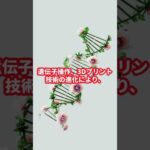 未来のバストアップはAIと遺伝子操作で自由自在！？衝撃の最新技術！ #もしもシリーズ #バストアップ方法  #女性向け