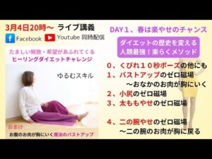 DAY１、人類史上最強の【楽やせ】メソッド〜ダイエットの歴史を変える「ゼロ磁場ヒーリング」