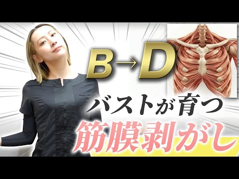 【おっぱい剥がし】ふんわりバストを作るなら、まずは固まった筋膜剥がしから！3分でできるバストマッサージ法を解説！