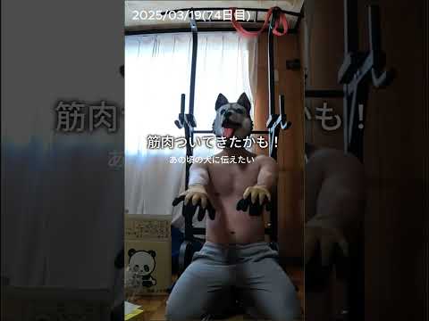 10分筋トレ74日目。#自宅トレーニング #バストアップ #キツい