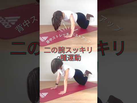 二の腕スッキリバストアップ運動 夏までにスッキリ細腕#宅トレダイエット#産後ダイエット#宅トレ女子#産後ダイエット記録#産後ダイエット成功#ゆるトレ#ちょこっと宅トレ#二の腕痩せ #バストアップ