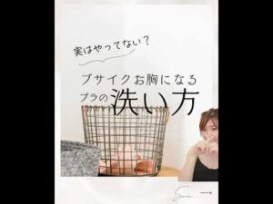 ブサイクお胸になる【ブラの洗い方】