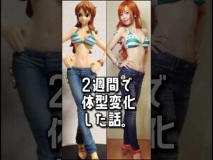 アラフォー2週間でナミさん体型チャレンジ #バストアップ #くびれ #onepiece