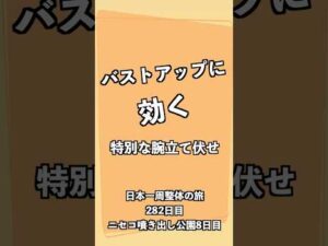 バストアップ腕立て伏せ