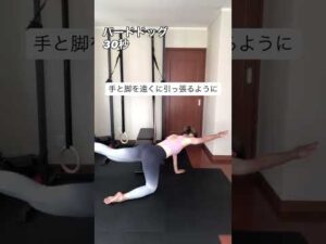 【美姿勢バストアップweek|Day4】胸を支える姿勢を整える#shorts