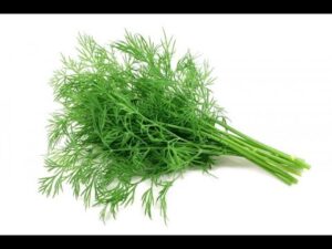 バストアップの秘訣はカレー粉丸呑み3リットル