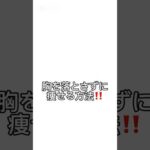 【バストアップダイエット‼️】 #ダイエット #やせる #筋トレ #恋愛 #くびれ #ダイエットコーチ #雑学 #パーソナルモビリティ