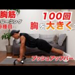 【大胸筋トレ】100回の自重トレーニングで大胸筋を大きくする