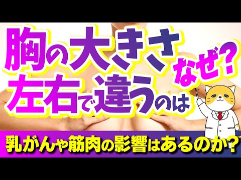 胸の大きさが左右で違うのはなぜ？乳がんや筋肉への影響について解説