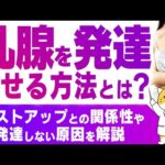 乳腺を発達させる方法とは？バストアップとの関係性や発達しない原因を解説