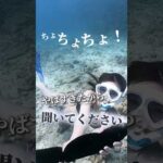 ちょちょちょ！【聞いてください！】#湘南美容クリニック #美容 #美容整形 #脂肪吸引