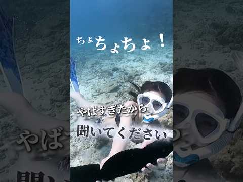 ちょちょちょ！【聞いてください！】#湘南美容クリニック #美容 #美容整形 #脂肪吸引