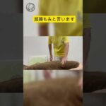 毎月開催【バスト成形公開施術会】鍛えると逆効果!? インナーマッスルと腸の意外な関係 #くびれ＃インナーマッスル