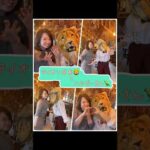 本日のおやつ(パヤンパヤン)