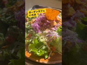 本日のおやつ(ガーデンカフェIROHA)