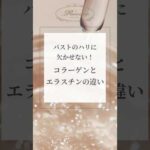 バストのハリに欠かせない！コラーゲンとエラスチンの違い