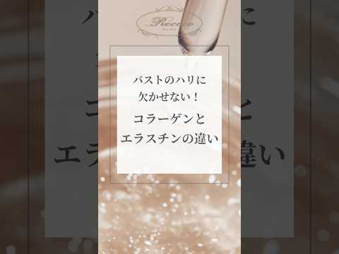 バストのハリに欠かせない！コラーゲンとエラスチンの違い
