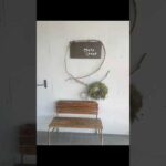 本日のおやつ(お昼ご飯をテラコッタで)