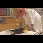 スパイファミリー アーニャコスプレアロマバストマッサージ   サンプル動画4