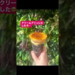 本日のおやつ(ガイダー赤間店)