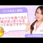 キャベツを食べると胸が大きくなるってホント！？　#Shorts #バストアップ #豊胸