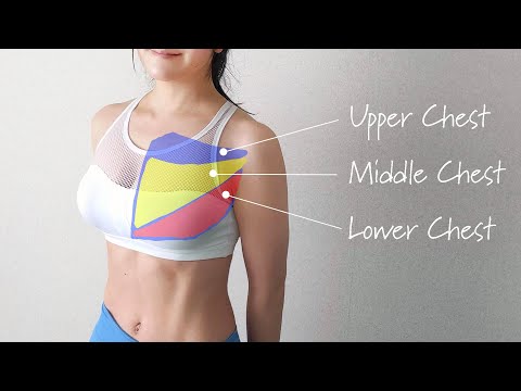 Perfect Chest Workout to Lift Breasts