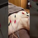 バストケア、実は「塗る」より「緩める」が先です‼️筋肉が柔軟になれば、バストは自然とふっくら高い位置へ#バストケア#デコルテ #産後ケア#巻き肩#鍼