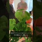 福岡薬院のバストアップ専門店に行ってみた！