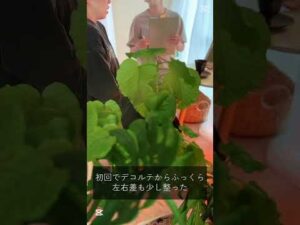 福岡薬院のバストアップ専門店に行ってみた！