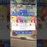 大好きな原作絵シリーズ！あの三玖がバストアップアクリルボードで登場した？！狙いはC賞！#shorts #五等分の花嫁 #一番くじ #一番くじオンライン