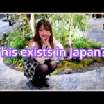 Yokohama Bust Salon Owner & ‘Modern Princess’ Coach: Japan, AI, and Organic Hot Takes