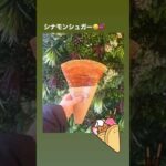 本日のおやつ(ガイダー赤間店)