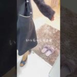 SARAEXCELLENTの店内✨#バストアップ #店内bgm