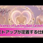 バストアップが定着する仕組み