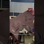 【Before→After】胸が大きくても安定して支えられる #シームレスブラ #ビフォーアフター #バストアップ #快適下着 #youtubeshorts #beforeandafter