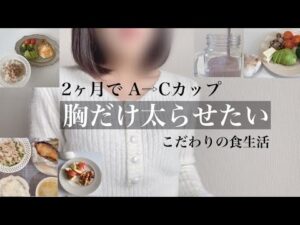 バストアップ2ヶ月経過｜食事法、ブラジャー紹介｜脂肪を集めて胸にする方法｜総集編①