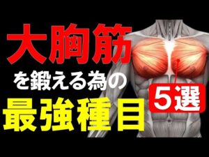【筋トレ科学】筋トレ1年目に知りたい大胸筋の科学的トレーニング5種目　~小手先のテクニックは不必要~